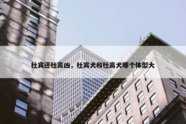 杜宾还杜高凶，杜宾犬和杜高犬哪个体型大
