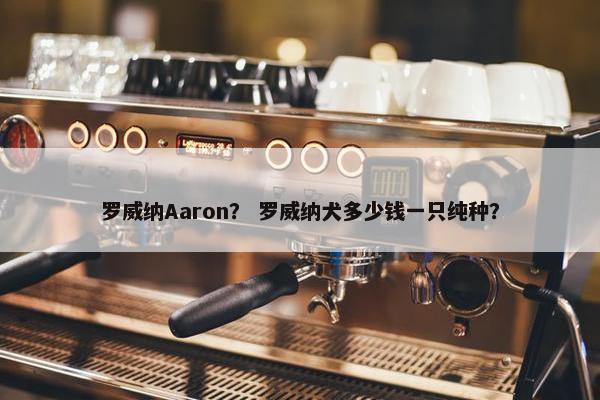 罗威纳Aaron？ 罗威纳犬多少钱一只纯种？
