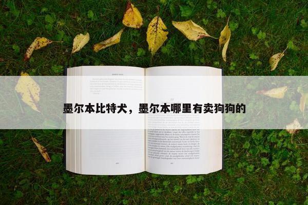 墨尔本比特犬，墨尔本哪里有卖狗狗的