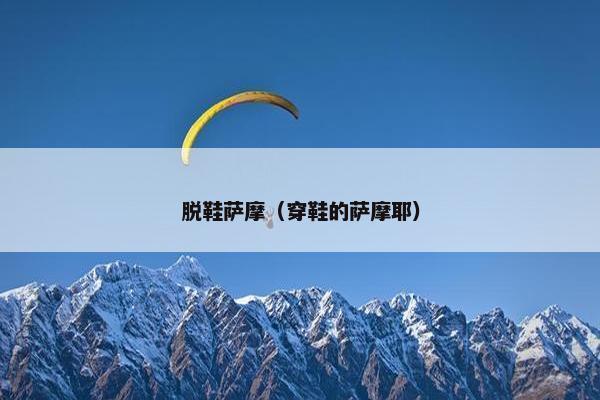 脱鞋萨摩（穿鞋的萨摩耶）
