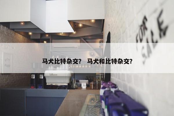 马犬比特杂交？ 马犬和比特杂交？