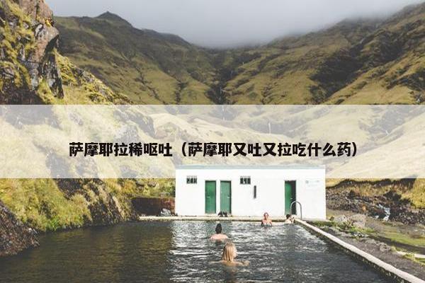 萨摩耶拉稀呕吐（萨摩耶又吐又拉吃什么药）