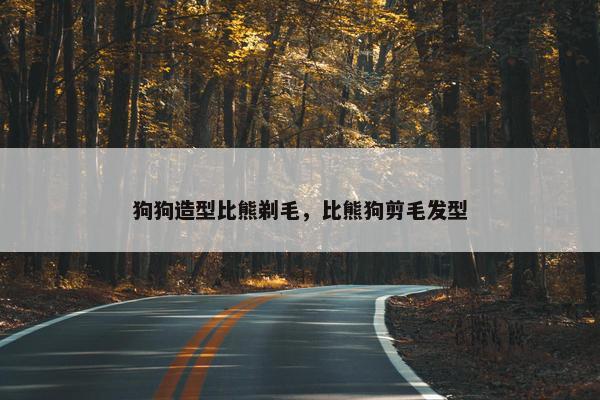狗狗造型比熊剃毛，比熊狗剪毛发型