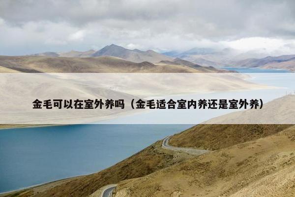 金毛可以在室外养吗（金毛适合室内养还是室外养）