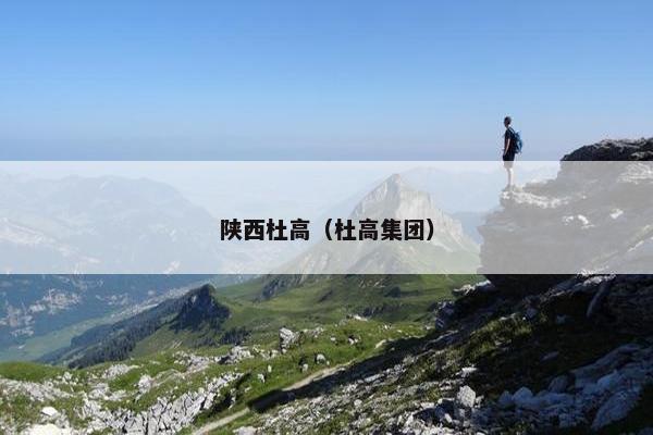 陕西杜高（杜高集团）