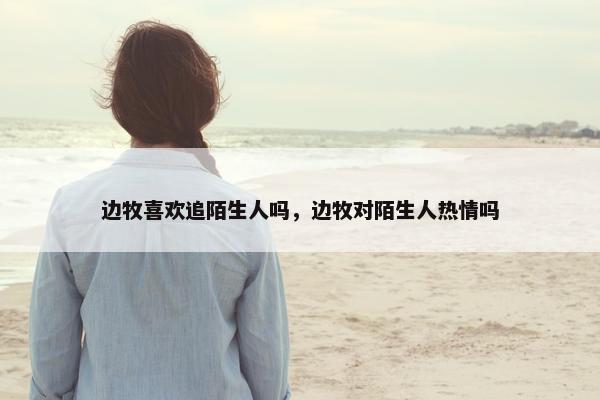 边牧喜欢追陌生人吗，边牧对陌生人热情吗