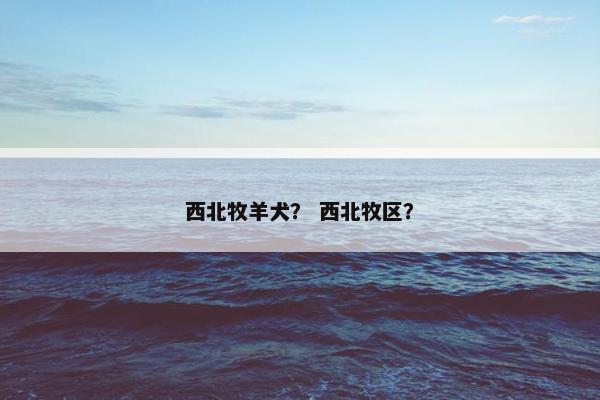 西北牧羊犬？ 西北牧区？