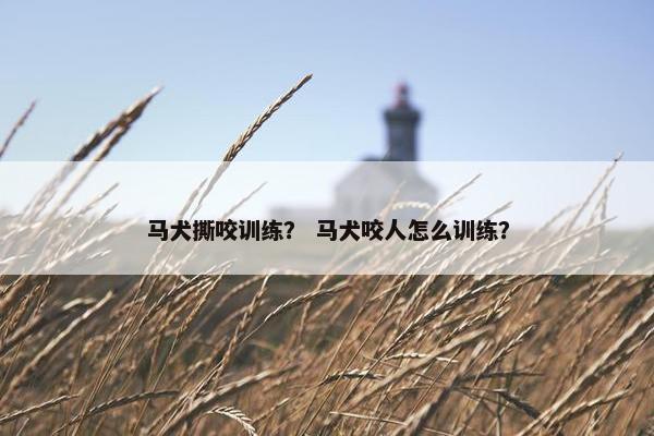 马犬撕咬训练？ 马犬咬人怎么训练？