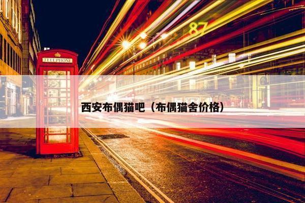 西安布偶猫吧（布偶猫舍价格）