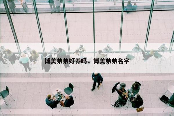 博美弟弟好养吗，博美弟弟名字