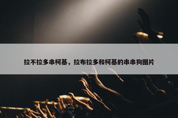 拉不拉多串柯基，拉布拉多和柯基的串串狗图片