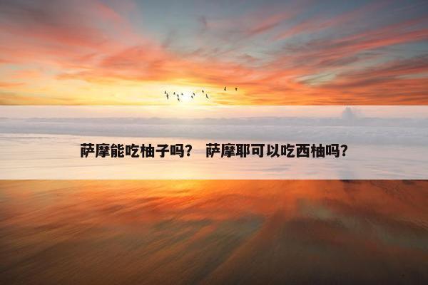 萨摩能吃柚子吗？ 萨摩耶可以吃西柚吗？