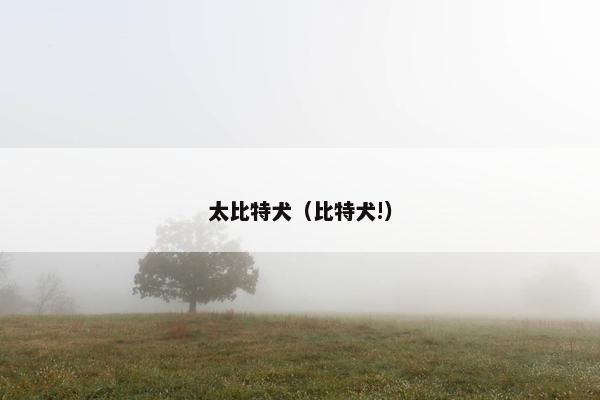 太比特犬（比特犬!）
