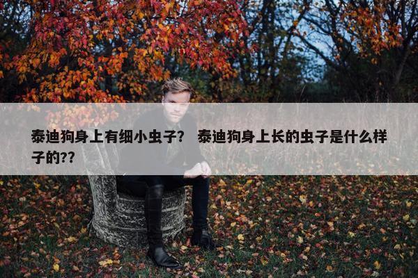泰迪狗身上有细小虫子？ 泰迪狗身上长的虫子是什么样子的?？