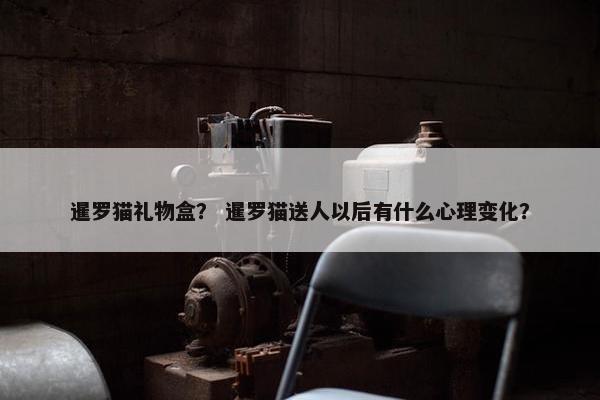 暹罗猫礼物盒？ 暹罗猫送人以后有什么心理变化？