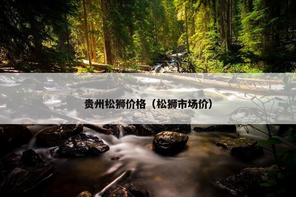 贵州松狮价格（松狮市场价）