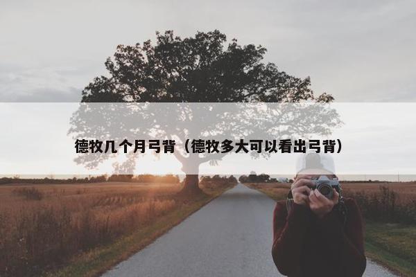 德牧几个月弓背（德牧多大可以看出弓背）