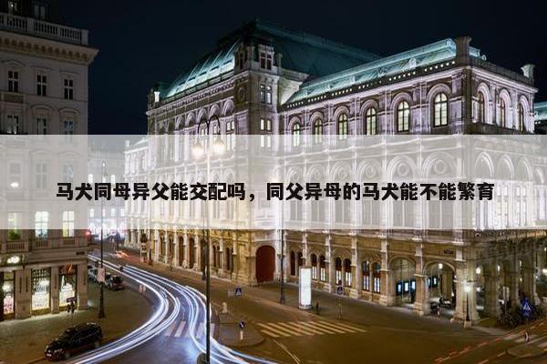 马犬同母异父能交配吗，同父异母的马犬能不能繁育