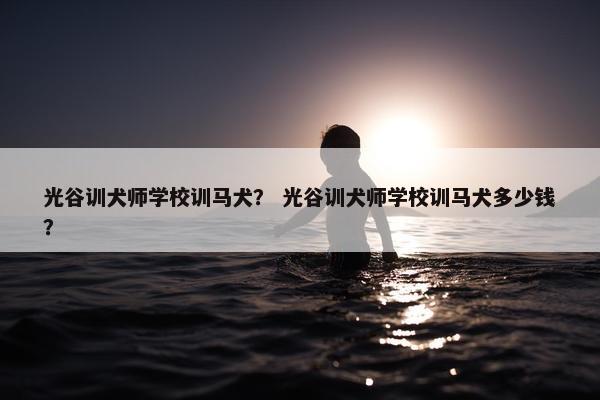 光谷训犬师学校训马犬？ 光谷训犬师学校训马犬多少钱？