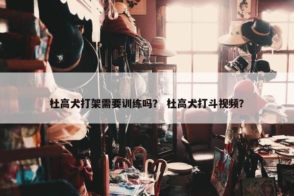 杜高犬打架需要训练吗？ 杜高犬打斗视频？