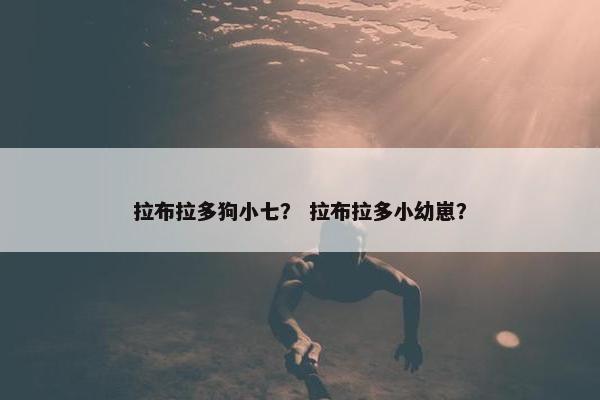 拉布拉多狗小七？ 拉布拉多小幼崽？