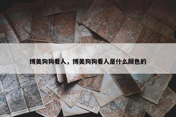 博美狗狗看人，博美狗狗看人是什么颜色的