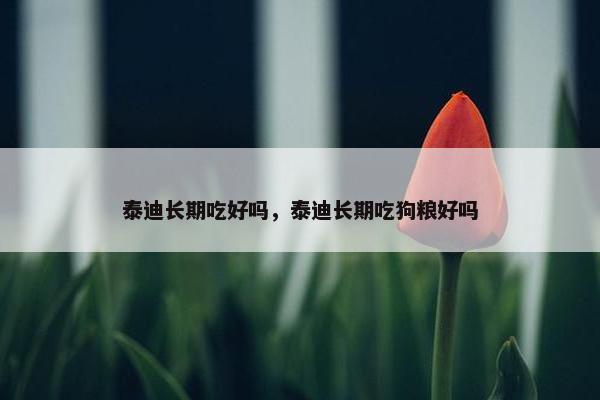 泰迪长期吃好吗，泰迪长期吃狗粮好吗