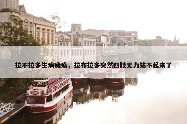 拉不拉多生病瘫痪，拉布拉多突然四肢无力站不起来了