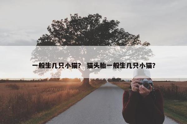 一般生几只小猫？ 猫头胎一般生几只小猫？