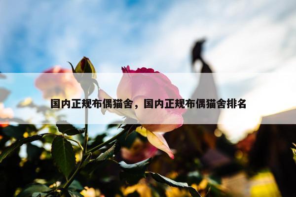 国内正规布偶猫舍，国内正规布偶猫舍排名