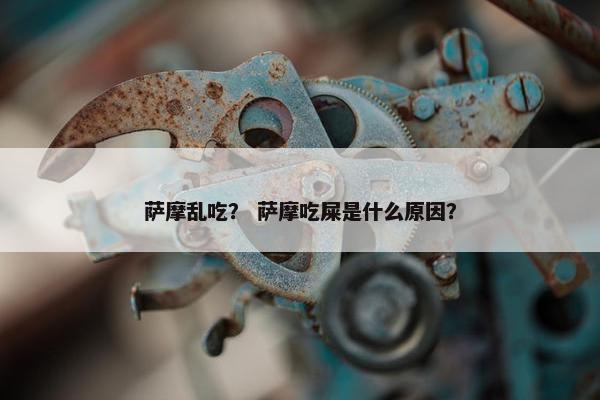 萨摩乱吃？ 萨摩吃屎是什么原因？