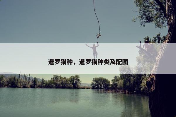 暹罗猫种，暹罗猫种类及配图