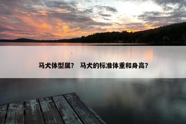 马犬体型属？ 马犬的标准体重和身高？