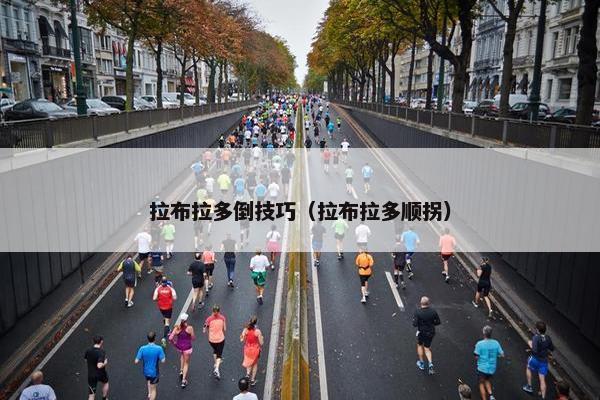 拉布拉多倒技巧（拉布拉多顺拐）
