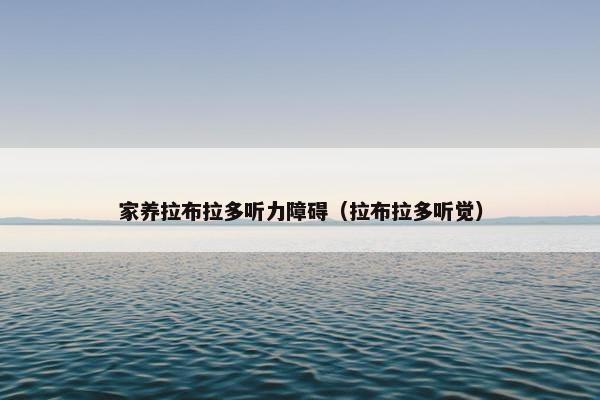 家养拉布拉多听力障碍（拉布拉多听觉）