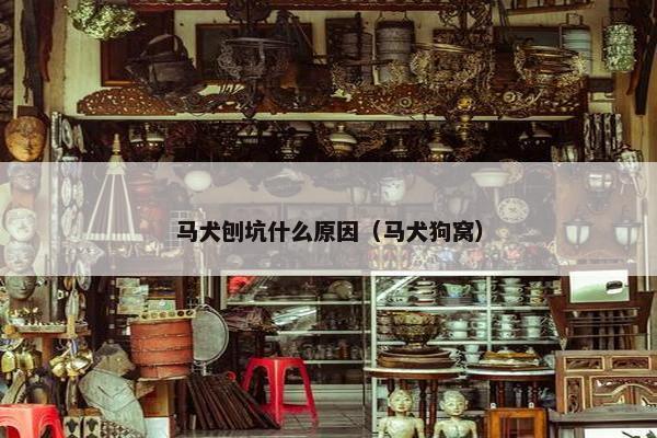 马犬刨坑什么原因（马犬狗窝）
