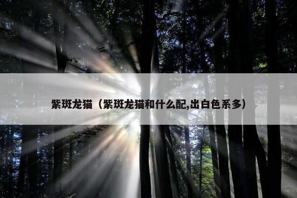 紫斑龙猫（紫斑龙猫和什么配,出白色系多）