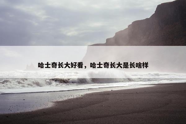 哈士奇长大好看，哈士奇长大是长啥样