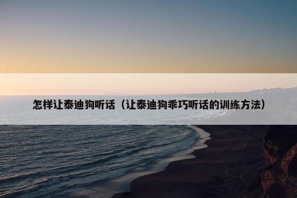 怎样让泰迪狗听话（让泰迪狗乖巧听话的训练方法）