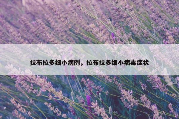 拉布拉多细小病例，拉布拉多细小病毒症状