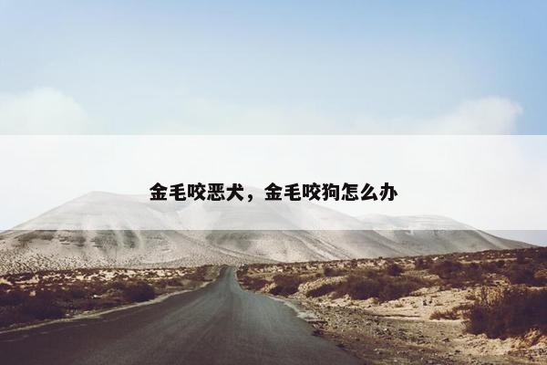 金毛咬恶犬，金毛咬狗怎么办