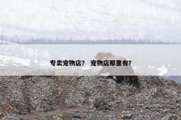 专卖宠物店？ 宠物店那里有？