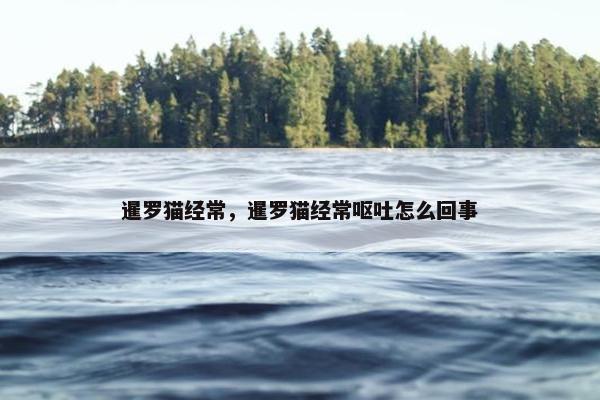 暹罗猫经常，暹罗猫经常呕吐怎么回事
