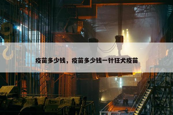 疫苗多少钱，疫苗多少钱一针狂犬疫苗