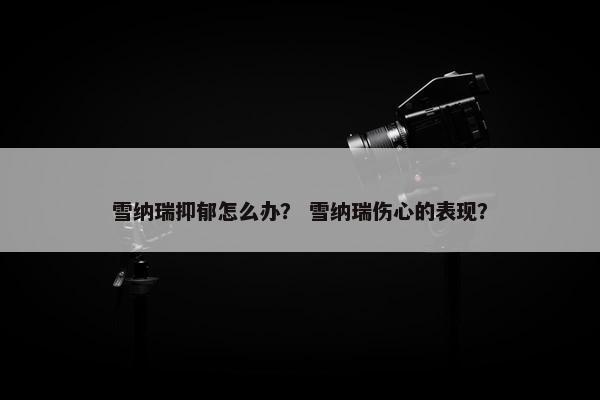 雪纳瑞抑郁怎么办？ 雪纳瑞伤心的表现？