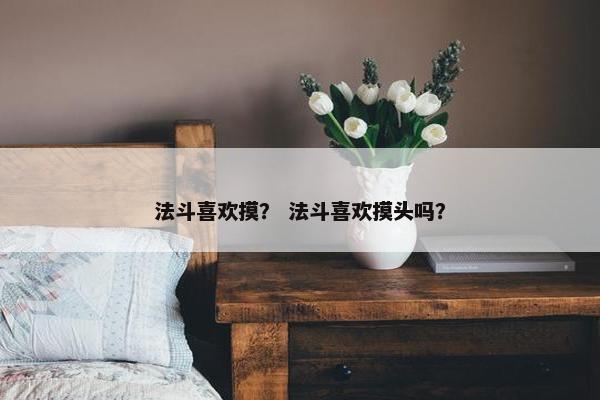 法斗喜欢摸？ 法斗喜欢摸头吗？