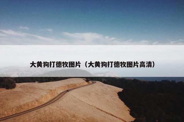 大黄狗打德牧图片（大黄狗打德牧图片高清）