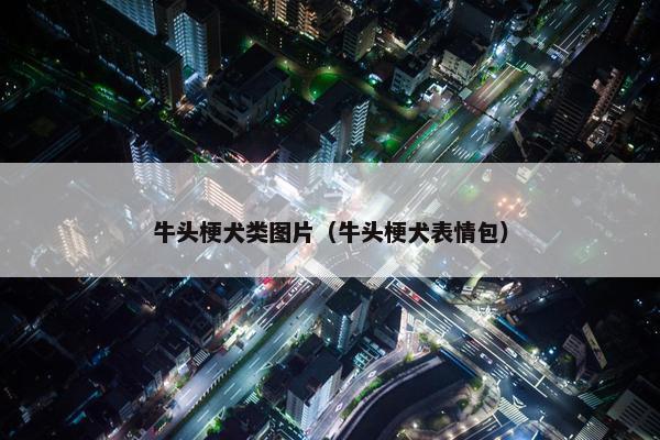 牛头梗犬类图片（牛头梗犬表情包）