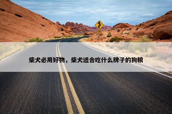 柴犬必用好物，柴犬适合吃什么牌子的狗粮