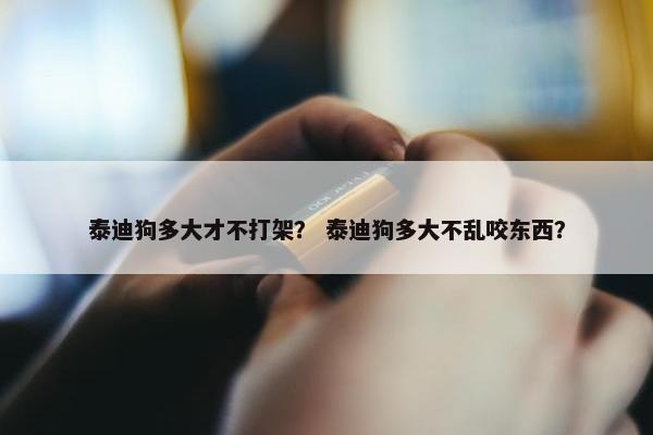 泰迪狗多大才不打架？ 泰迪狗多大不乱咬东西？